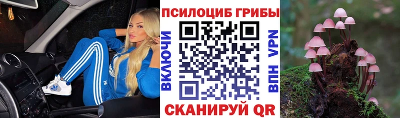 kraken tor закладка Яхрома Галлюциногенные грибы Magic Shrooms